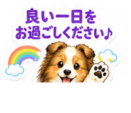 856691263