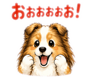 856691265
