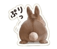 856691321