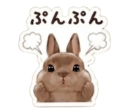 856691333