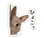 856691341