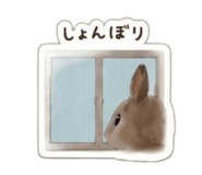 856691353