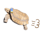 856691849