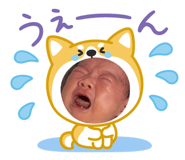 856691884