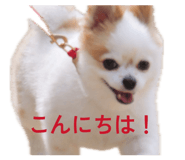 856691935