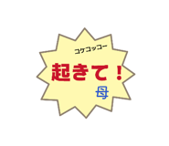 856691987