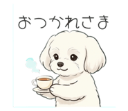856692082