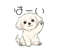 856692084