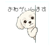 856692085
