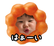 856692096