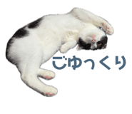 856692184