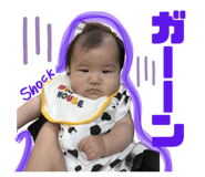 856692255