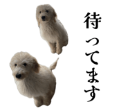856693037