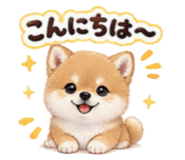 856693106