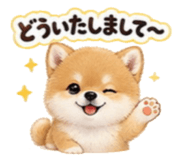 856693114