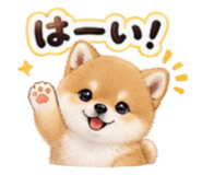 856693115