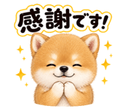 856693116