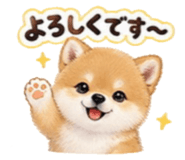 856693124