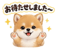 856693126