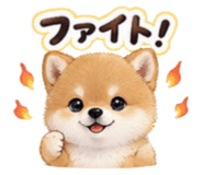 856693128