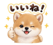 856693133