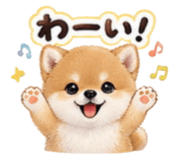 856693134