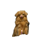 856693526