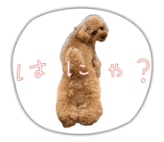 856693532