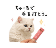 856693769