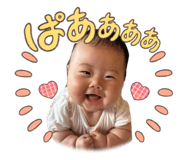 856693778