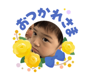 856694412