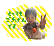 856694437