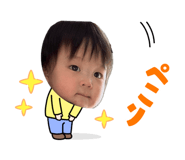856694456