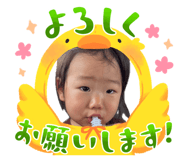 856694461