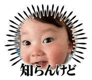 856694484