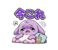856694549