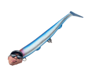 856694638