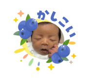 856694648