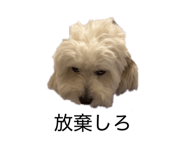 856694663
