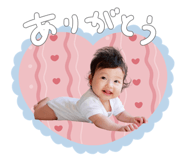 856694666