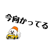 856694705