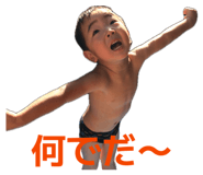 856694996