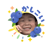 856696194