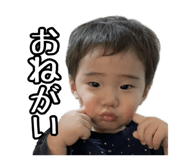 856696531