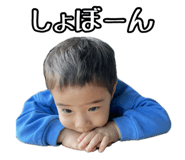 856696545