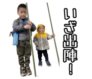 856696550