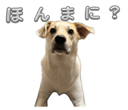 856697428