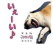 856697429
