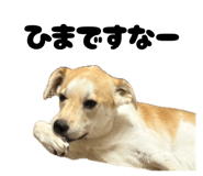 856697430