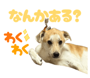 856697431
